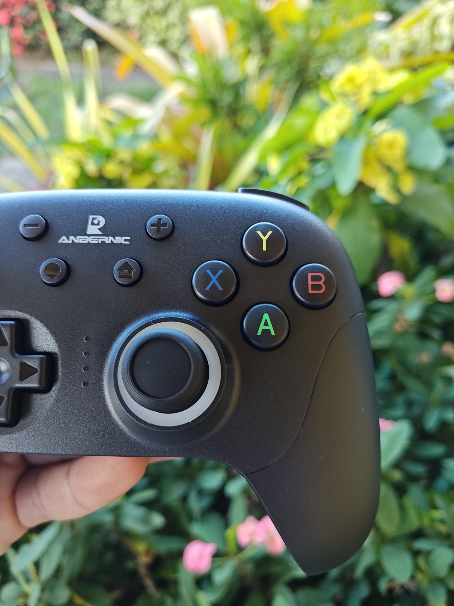 Anbernic RG P01 - For Nintendo Switch 1/2 | PC.