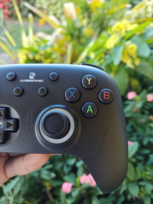 Anbernic RG P01 - For Nintendo Switch 1/2 | PC.