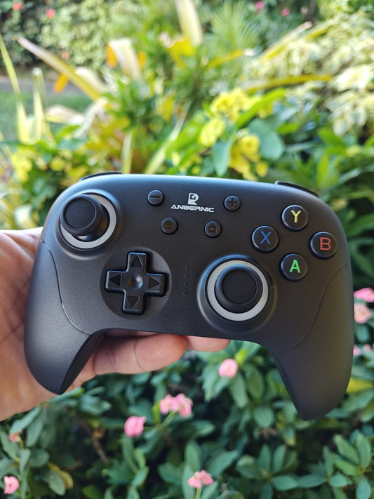 Anbernic RG P01 - For Nintendo Switch 1/2 | PC.