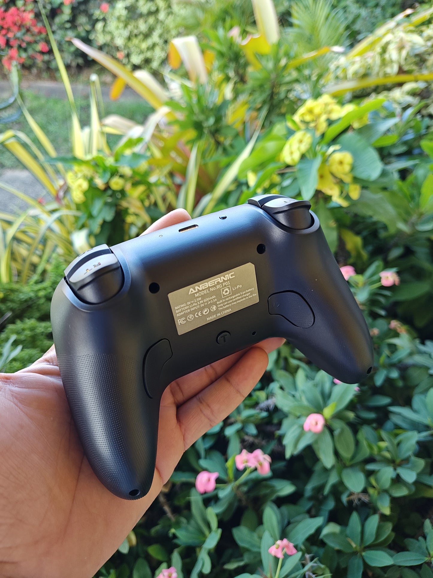 Anbernic RG P01 - For Nintendo Switch 1/2 | PC.