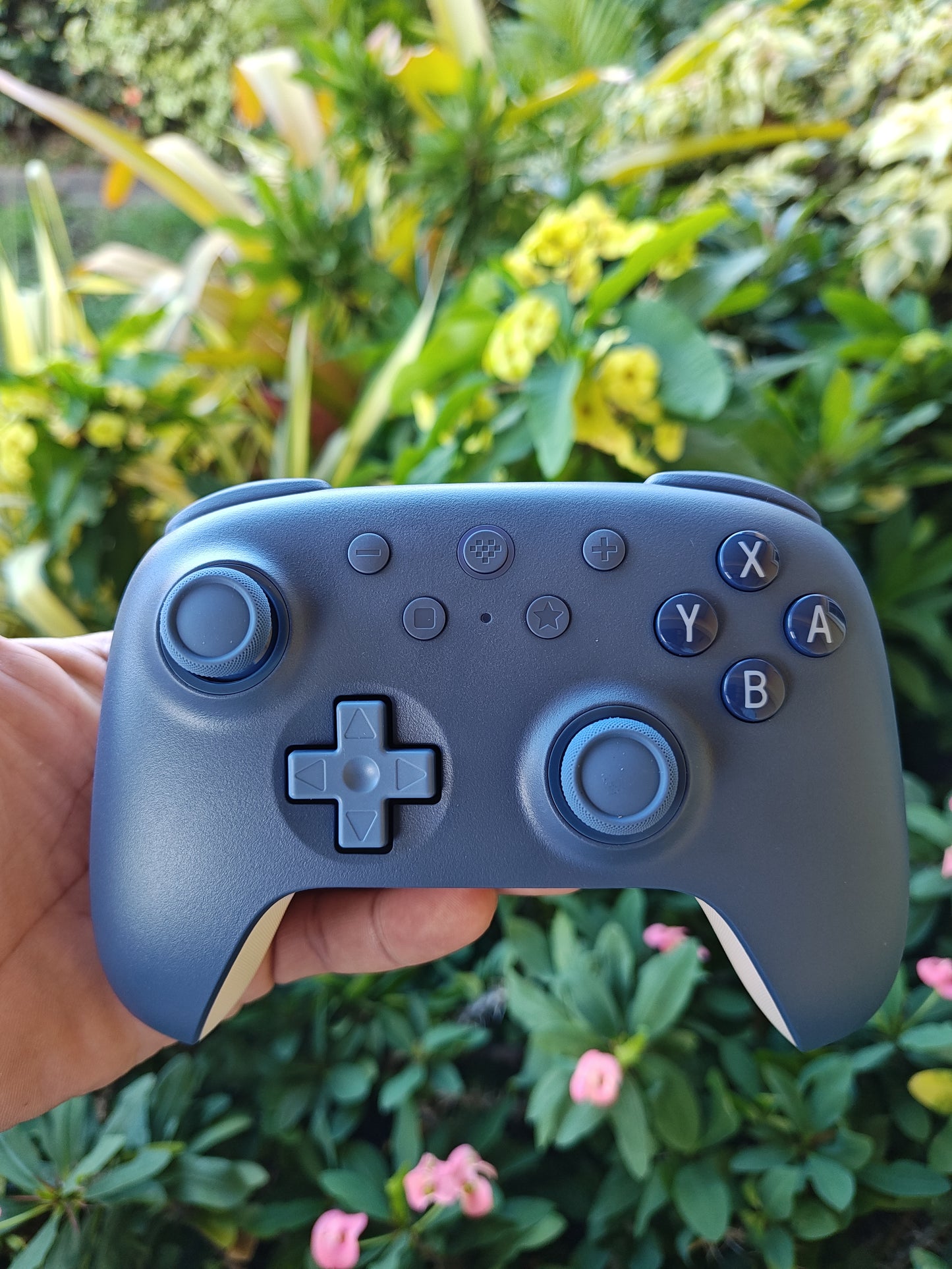 8bitdo Ultimate 2C - For Nintendo Switch 1/2 | PC.