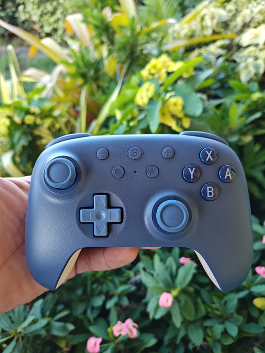 8bitdo Ultimate 2C - For Nintendo Switch 1/2 | PC.